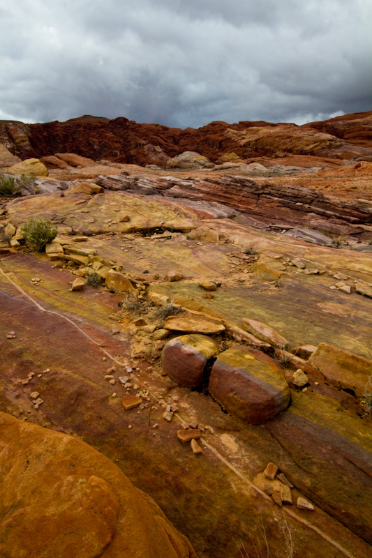 Rainbow Vista